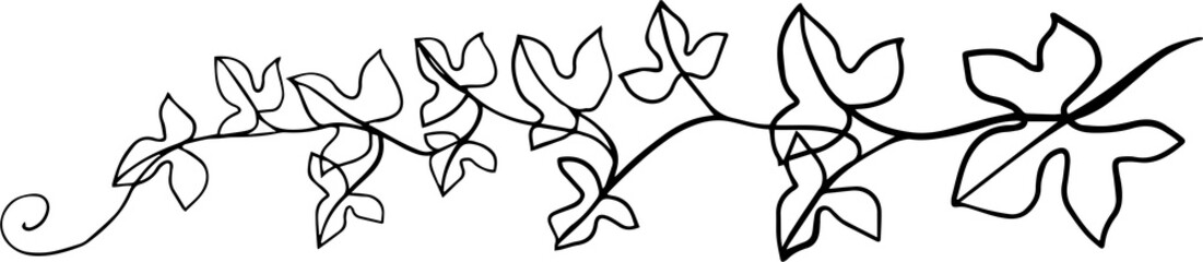 simplicity ivy continuous freehand drawing. - obrazy, fototapety, plakaty
