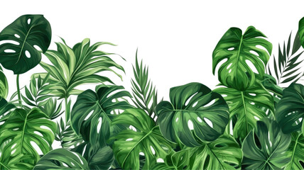 border with a pattern of hand-drawn monstera leaves, generative ai