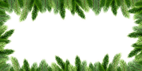 Fir leaves with transparent background 2 wide