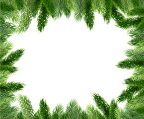 Fir leaves with transparent background 2