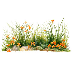 line of grass with orange flowers in watercolor design isolated against transparent
