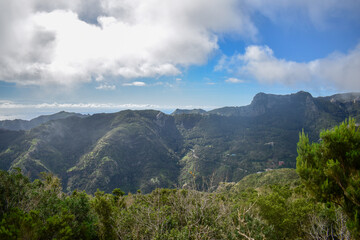 Tenerife, Canary, Canary Islands