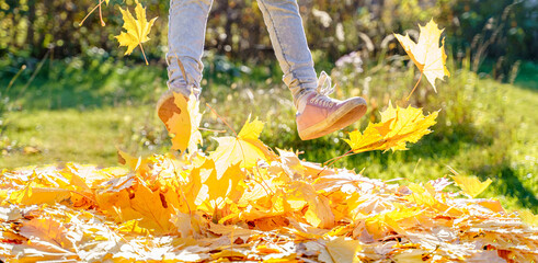 Girl kid jumping on trampoline with autumn leaves. Bright yellow orange maple foliage. Child walking, having fun, playing in fall backyard. Outdoor funny happy season family activity in autumn park