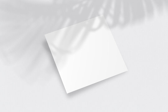 Realistic top view cover square A4 or A5 magazine or brochure booklet for stationery and branding. Mockup template with isolated on light palm leaf shadow overlay. 3D Rendering to place your design.