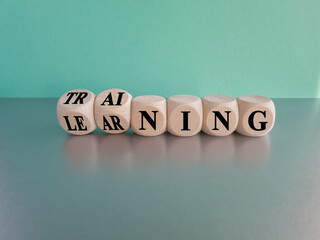 Training and learning symbol. Turned wooden cubes and changes the word training to learning....