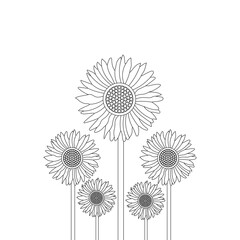 Sunflower Plant Coloring page Outline Hand Drawn