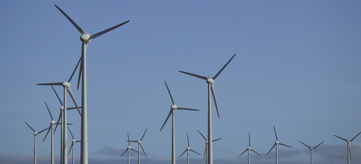 Wind farm with many scattered turbines and a clean blue sky in the background