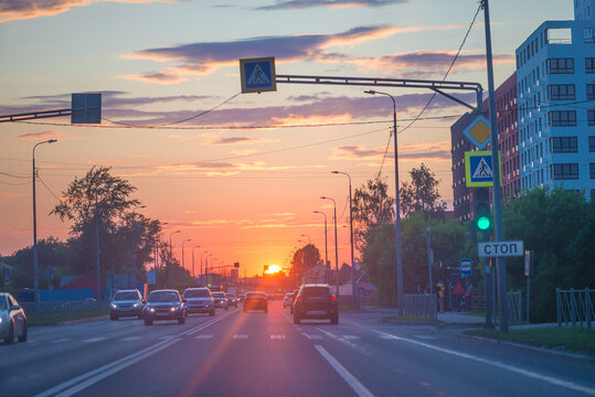Sunset in the city; cars on the road in the city on sunset, traffic lights, pedestrian crossing