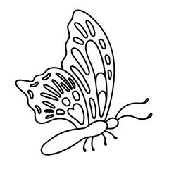 Coloring page - butterfly. Vector outline illustration