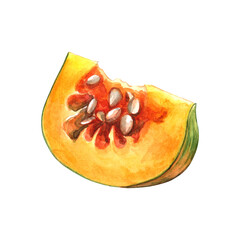 Piece of pumpkin isolated on white background. Watercolor hand drawn pumpkin illustration. Clipart for cards and invitations for autumn and Halloween.