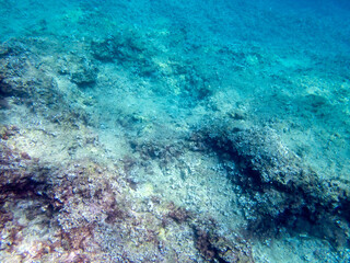 Vista subacquea Plemmirio in fondo al mare