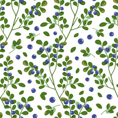 Bilberry vector seamless pattern. Northern blue forest berries background. Hand drawn cartoon branches isolated on white. Organic healthy food with vitamins and antioxidants for packaging, textile