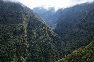 Aerial view above the lush rainforest of northern La Palma in the Canary Islands
