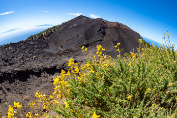 Volcanic landscape and hiking trails of the Cumbre vieja route of Volcano craters in south La Palma - Canary Islands © Mike Workman