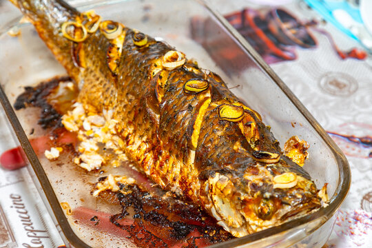 Traditional mullet fish ( Mugil cephalus, Chelon labrosus, Agonostomus monticola, Liza ramada or Mugil curema). Roasted tainha fish.
