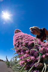Female hiker with large purple Echium wildpretii in La Palma during springtime- Canary islands