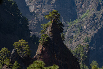 Inside the impressive Caldera de Taburiente on the Island of La Palma in the Canary Islands 