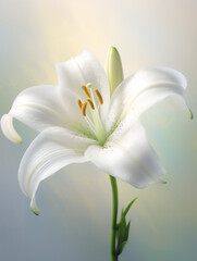 white lily flower generative AI