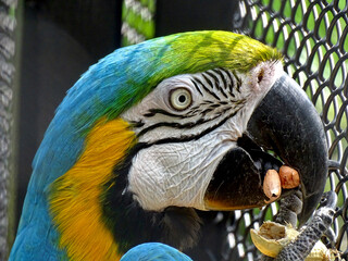 binary comment © linlia