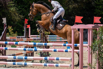 Show jumping competition on horseback. Horse Jumping, Equestrian Sports, Show Jumping themed photo.
