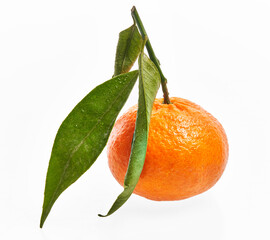  Delicious single tangerine over isolated white background