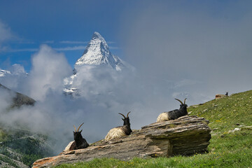 The Matterhorn, the most beautiful mountain in the world. © Christian