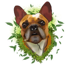 Charming Chaos: The Quirky World of the French Bulldog