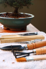 Close up in a bonsai tools and a shimpaku bonsai in the background. Photo in vertical mode.