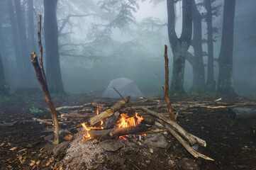 Bonfire in a foggy summer forest against the background of a tourist tent.