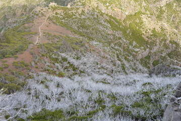 Hiking path in Pico do Arieiro