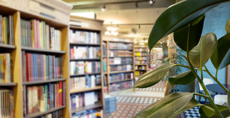 bookstore,
buying a book in a store