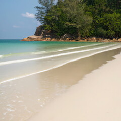 Tropical Island Beach