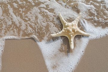 Fototapeta na wymiar 砂浜のヒトデと打ち寄せる波