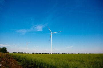 Panoramic view of wind farm or wind park, with high wind turbines for generation electricity with copy space. Green energy concept, in the world.