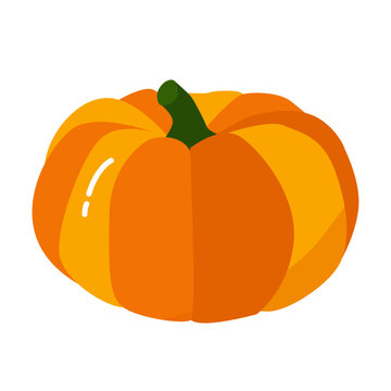 Cute pumpkin isolated on white background. Single. Flat design. Vector illustration for autumn, halloween or thanksgiving. Orange pumpkin vegetable graphic icon