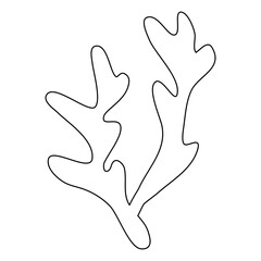 Sea and aquarium water plant or seaweed, doodle style vector outline illustration for coloring book