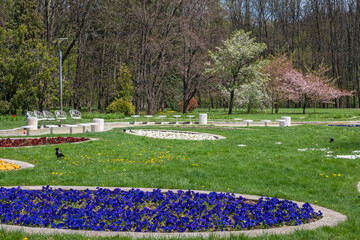 Spring flowers at South Park in city of Sofia, Bulgaria