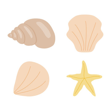 Set of sea shells and sea star, flat vector