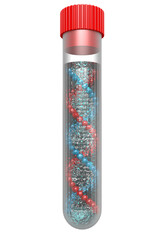 DNA model in the test tube
