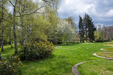 Fototapeta premium Spring flowers at South Park in city of Sofia, Bulgaria