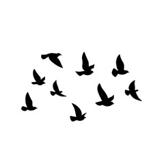 Flying bird silhouette. Vector illustration. a flock of flying birds. tattoo design