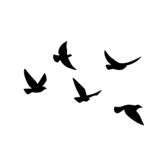 Flying bird silhouette. Vector illustration. a flock of flying birds. tattoo design
