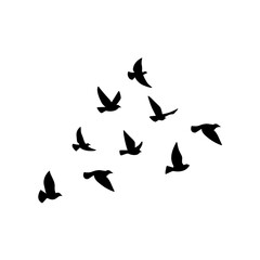 Obraz na płótnie Canvas Flying bird silhouette. Vector illustration. a flock of flying birds. tattoo design