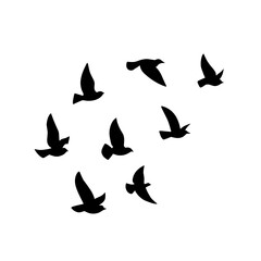 Flying bird silhouette. Vector illustration. a flock of flying birds. tattoo design