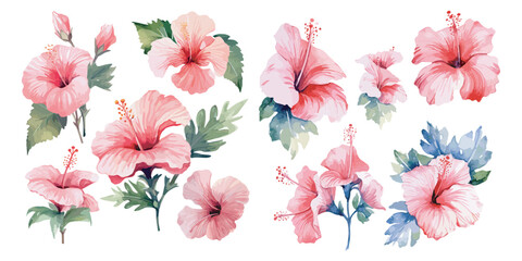 watercolor hibiscus clipart for graphic resources - obrazy, fototapety, plakaty