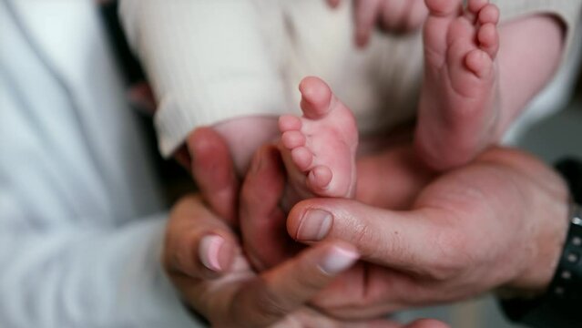 Adorable little feet of a newborn in a big male hand. Female hand strokes little toes. Daddy, mommy and infant baby. Close up.