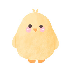 baby chicken