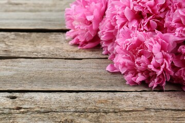 Beautiful pink peonies on wooden table, closeup. Space for text