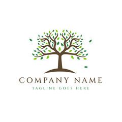 Obraz premium Abstract tree logo design, tree vector isolated on white background