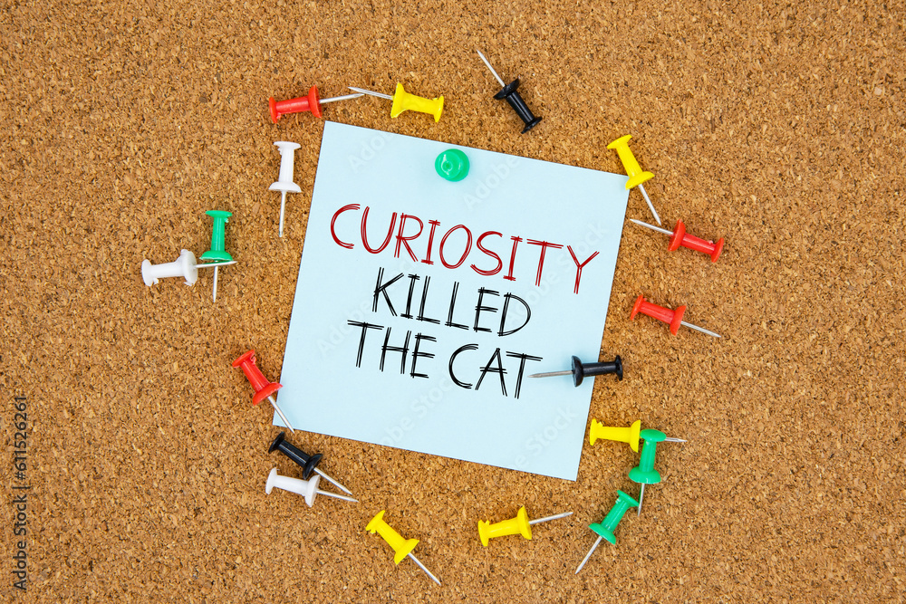 Poster curiosity killed the cat text on light blue post-it paper pinned on bulletin cork board surrounding 